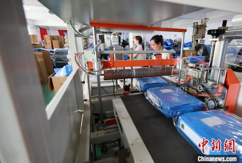 年產(chǎn)值2億元 河北邢臺一小鄉(xiāng)村用檔案制品讓村民走上致富路