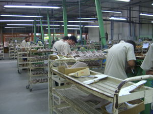 愛瑪與巴西著名鞋楦廠深入交流，共探制鞋技術新高度